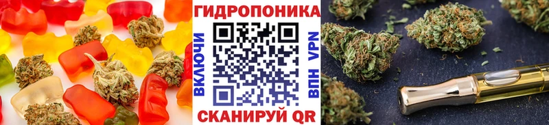 где купить   Гусев  Печенье с ТГК конопля 