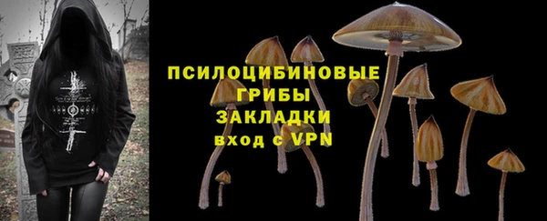 спиды Бородино