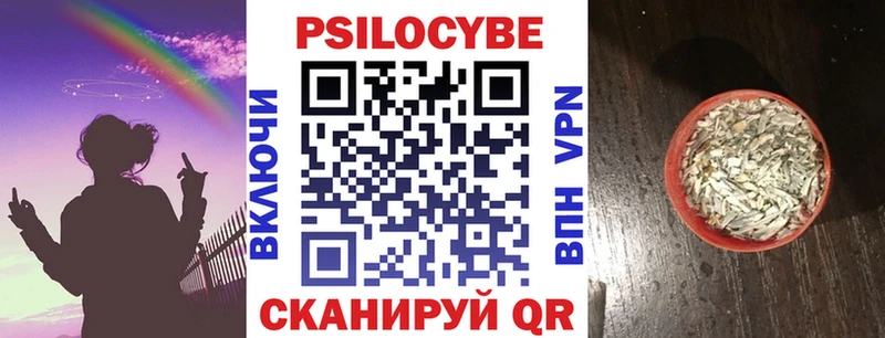 Галлюциногенные грибы Cubensis Гусев