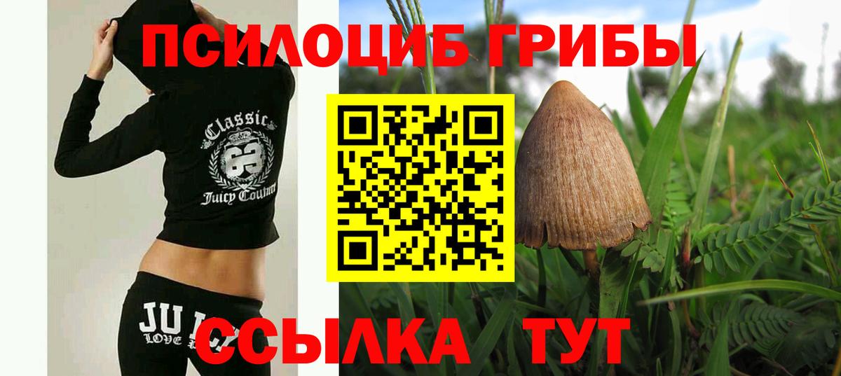 Гусев  Псилоцибиновые грибы Psilocybine cubensis  Вход с VPN  Псилоцибиновые грибы ЛСД 